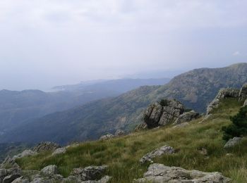 Tour Zu Fuß Cogoleto - Lerca - Bric Camulà - Monte Rama - Photo