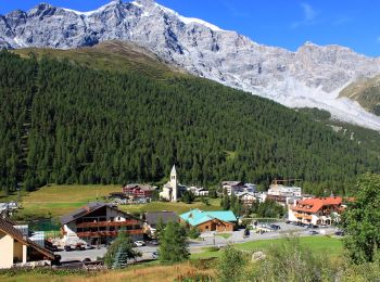 Excursión A pie Stilfs - Stelvio - IT-25 - Photo