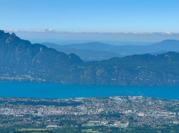 Tour Wandern Montcel - Le Revard - Photo