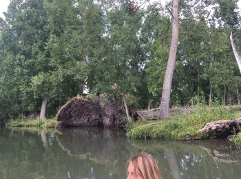 Percorso Canoa - kayak Coulon - Marais poitevin 05072021 - Photo