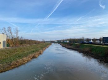 Randonnée Marche Vilvorde - Vilvoorde 19,4 km - Photo