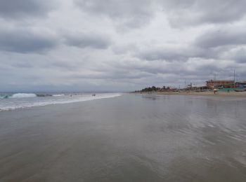 Randonnée Marche Santa Elena - Punta blanca - Photo