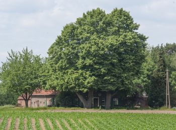 Randonnée A pied Hünxe - Gartrop Rundweg A5 - Photo