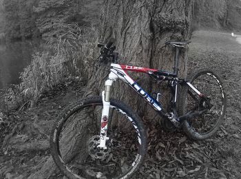 Tocht Mountainbike Terhulpen - Bruxelles_20191124_083403 - Photo