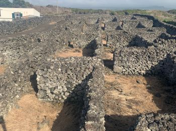 Tour Wandern Madalena - Gabeco Gordo - Photo