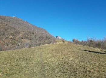 Tocht Stappen Saint-Égrève - La monta le sialet - Photo