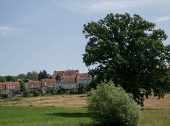 Excursión A pie Sankt Josef - Wanderweg 17 - Photo