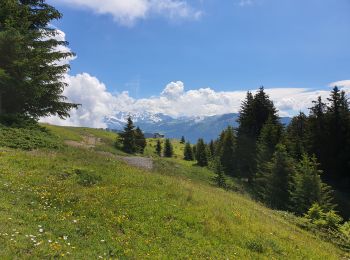 Excursión Senderismo Villard-sur-Doron - Hameau du Beaufortain - La Croix de Coste - Photo