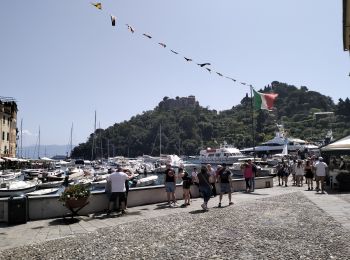 Trail Walking Portofino - Portofino-margherita-8kmD350m-mai22 - Photo