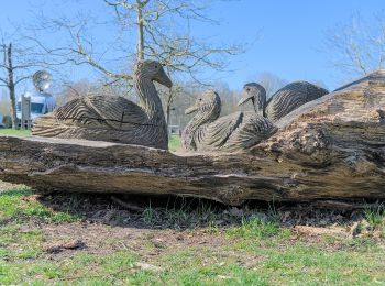 Tour Zu Fuß Willebroek - Vekielpad - Photo