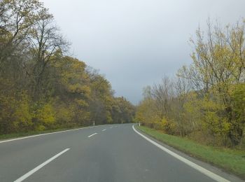 Excursión A pie okres Pezinok - Vinohradnícky náučný chodník - Photo