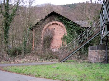 Tour Zu Fuß Lahnstein - Rundwanderweg B1 - Photo