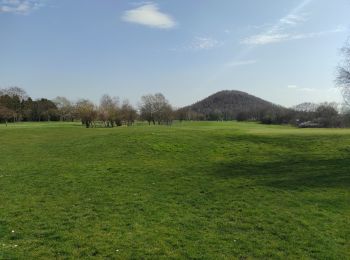 Excursión Senderismo Herstal - randonnée terril Liège  - Photo