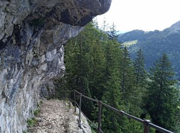 Excursión Senderismo Bellecombe-en-Bauges - Pointe de Banc Plat en boucle  - Photo