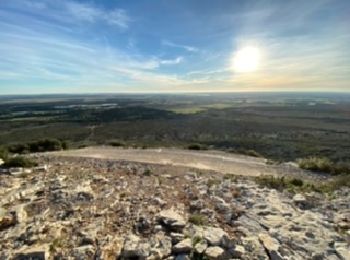 Excursión Senderismo Eyguières - Les barres rouges - Photo