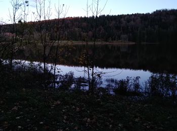 Randonnée Marche Villards-d'Héria - lac d antre - Photo