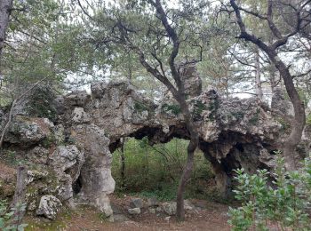 Randonnée Marche Donzère - Donzère-Falaises-Navon Ruines de Belle Eau 15km - Photo