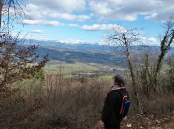 Randonnée Marche Lornay - LE GROS FOUG: LORNAY - Photo