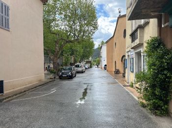 Randonnée Marche Néoules - Neoules crête 19,5 km - Photo