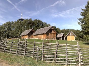 Tocht Te voet Gemeinde Schwarzenbach - Mostheurigenrunde 2 (Schwarzenbach) - Photo