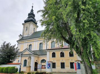 Randonnée A pied Tuchów - Szlak spacerowy wokół Tuchowa - Photo