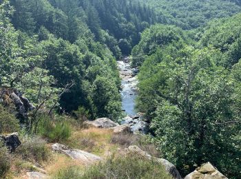 Excursión Senderismo Brassac - Tour du Salas variante nord - Photo