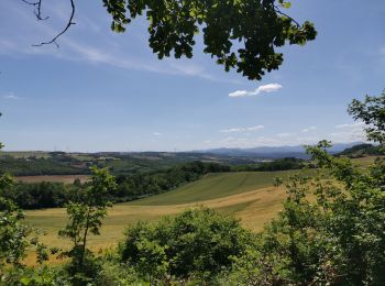 Randonnée Marche Anneyron - chanteau Mantaille  - Photo