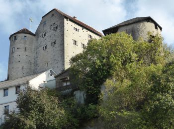 Tour Zu Fuß Lappersdorf - W 57 Schwaighausen - Duggendorf (Grünes Dreieck) - Photo