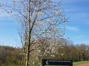 Tour Wandern Eijsden-Margraten - Bemelen - Photo