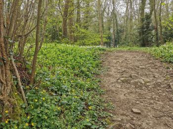 Tour Wandern Baron-sur-Odon - Au_fil_de_l'Odon_10,7_km - Photo