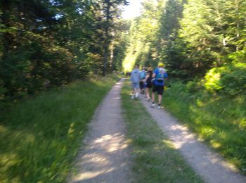 Tocht Stappen Plancher-les-Mines - tour France 2022 retour planche des belles filles  - Photo