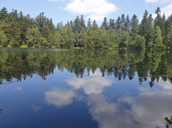 Tour Wandern Vexaincourt - Le charme mystérieux du lac de la Maix - Photo