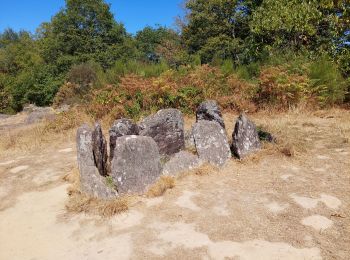 Trail Walking Tréhorenteuc - Broceliande - Photo