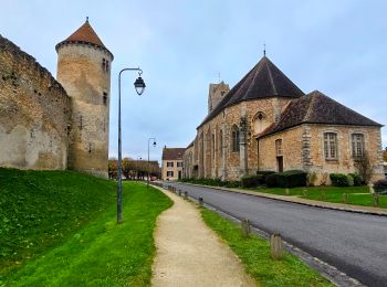 Randonnée Marche Blandy - Boucle 23 km Blandy - St Merry - Bombon - Champeaux - Photo