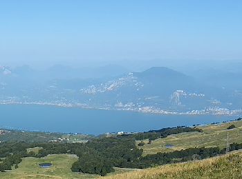 Percorso A piedi San Zeno di Montagna - Lumini - Malga Zilone - Due Pozze - Baito Eugenio Turri - Photo