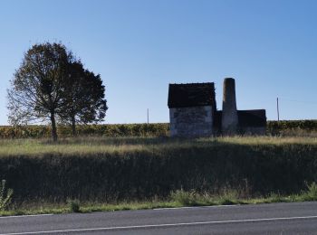 Excursión Senderismo Bléré - octobre rose 2022  - Photo