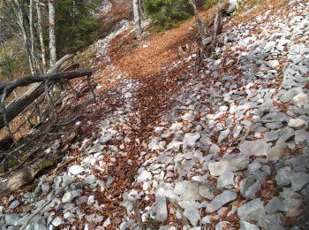 Tocht Stappen Champfromier - Champfromier les avalanches  - Photo