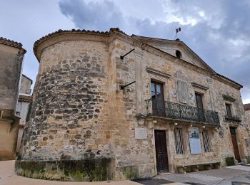 Randonnée Marche Rochefort-du-Gard - Autour de Rochefort du Gard - Photo