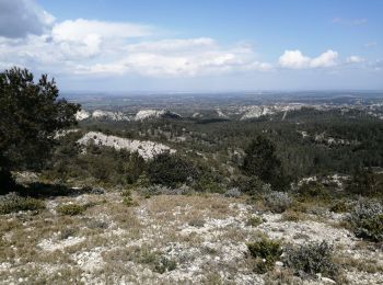 Excursión Senderismo Les Baux-de-Provence - les baux de Provence  - Photo