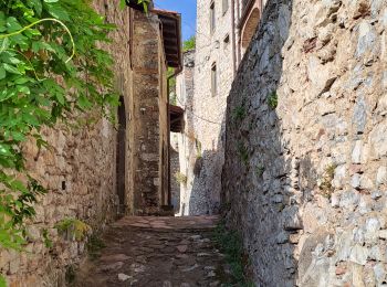 Tour Wandern Bagni di Lucca - Lucchio (Bagni di Lucca) - Photo