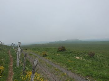 Excursión Senderismo La Godivelle - la Godivelle -Brion A/R - Photo