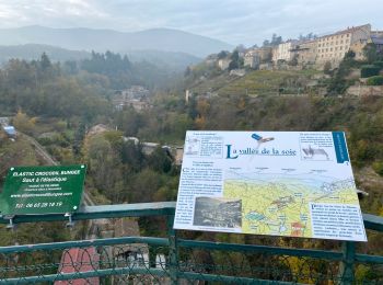 Excursión Senderismo Pélussin - Chemin du tacot au départ de Pélussin - Photo