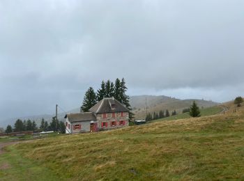 Tour Wandern Linthal - Hilsen-Petit Ballon-Hilsen - Photo