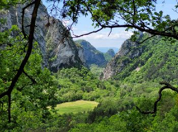 Excursión Senderismo Saou - 2025-02-02_17h33m51_Sur_les_traces_des_muletiers_et_des_anciennes_fermes_dans_la_Foret_de_Saou - Photo