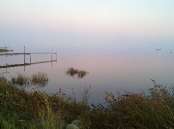 Trail On foot  - Amagerminoen - Photo