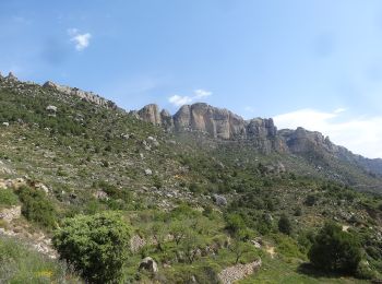 Trail On foot la Morera de Montsant - La Morera de Montsant - Photo