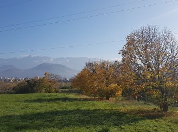 Randonnée Marche Seyssins - Boucle Covid sur les berges sud du Drac - Photo