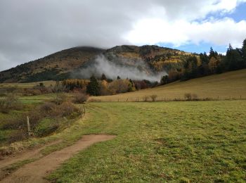 Trail Walking Nantes-en-Rattier - NANTES EN RATIER - Photo