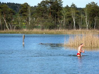 Tocht Te voet Zürich - Seebach - Chatzensee Strandbad - Photo