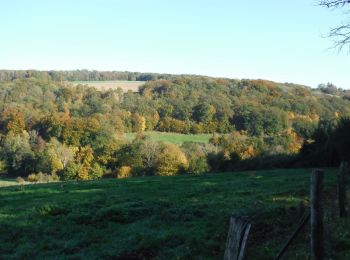 Trail Walking Pargny-la-Dhuys - Pargny-la-Dhuys du 28-10-2021 - Photo